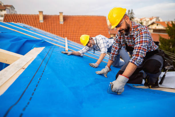 Best Roof Insulation Installation  in Venice, IL